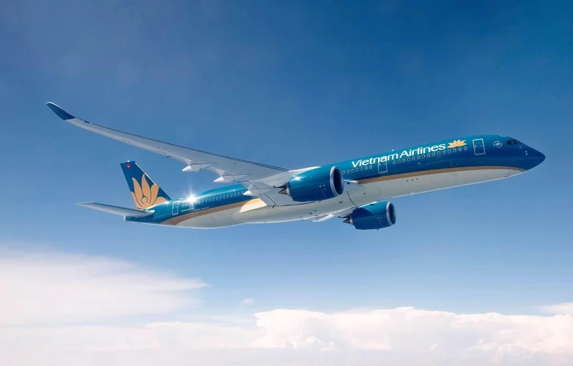 Tàu bay thân rộng thế hệ mới nhất của hãng hàng không Vietnam Airlines được sử dụng đường bay Hà Nội-Thành phố Hồ Chí Minh. (Ảnh: CTV/Vietnam+)