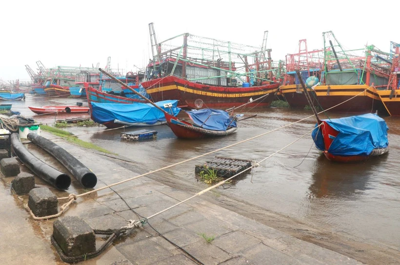 Tàu thuyền của ngư dân vào neo đậu an toàn. (Ảnh minh họa: Nguyên Lý/TTXVN)