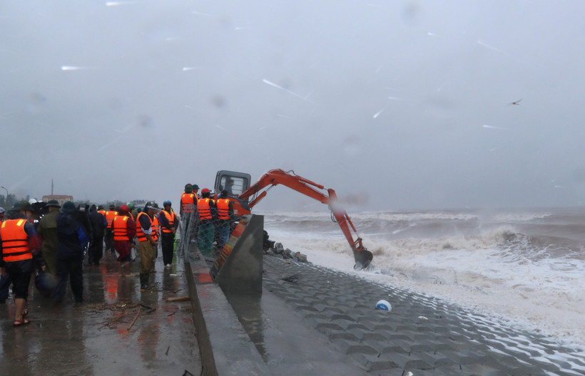 Đoàn kiểm tra công tác tác khắc phục sự cố đê biển tại Nam Định. (Ảnh: Văn Đạt/TTXVN)
