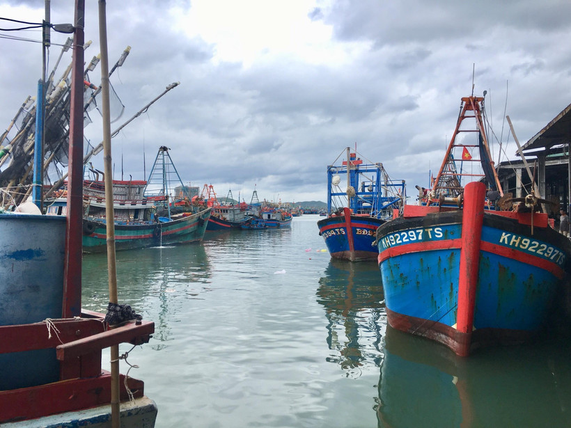 Tàu thuyền các tỉnh neo đậu tránh trú bão. (Ảnh: Thanh Vân/TTXVN)