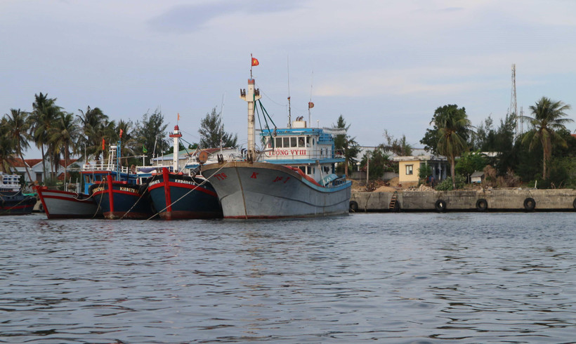 Tàu thuyền đánh bắt thuỷ sản của ngư dân neo đậu ở cảng để tránh trú. (Ảnh: Nguyễn Dũng/TTXVN)
