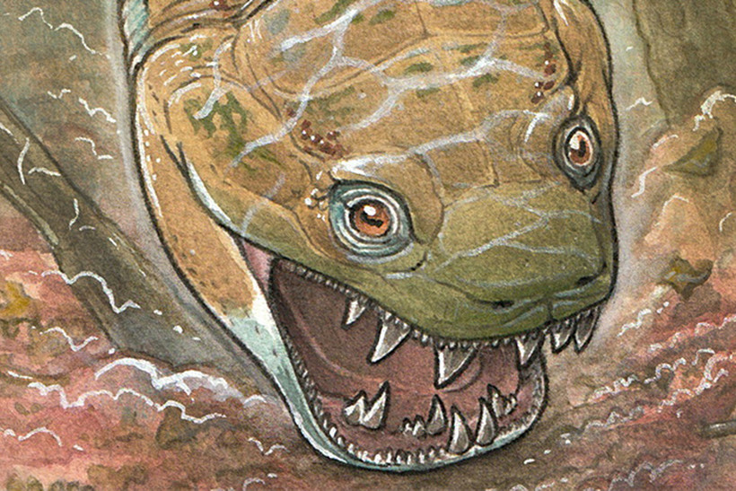 Hình ảnh phục dựng minh họa loài Gaiasia jennyae. (Nguồn: Science Alert)