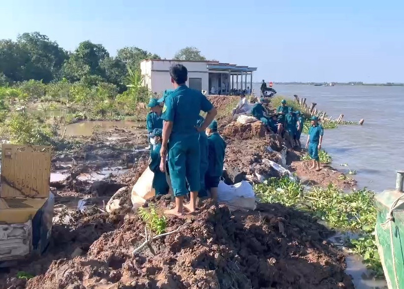 Các lực lượng đến hỗ trợ gia cố đoạn đê bao sạt lở. (Ảnh: TTXVN phát)