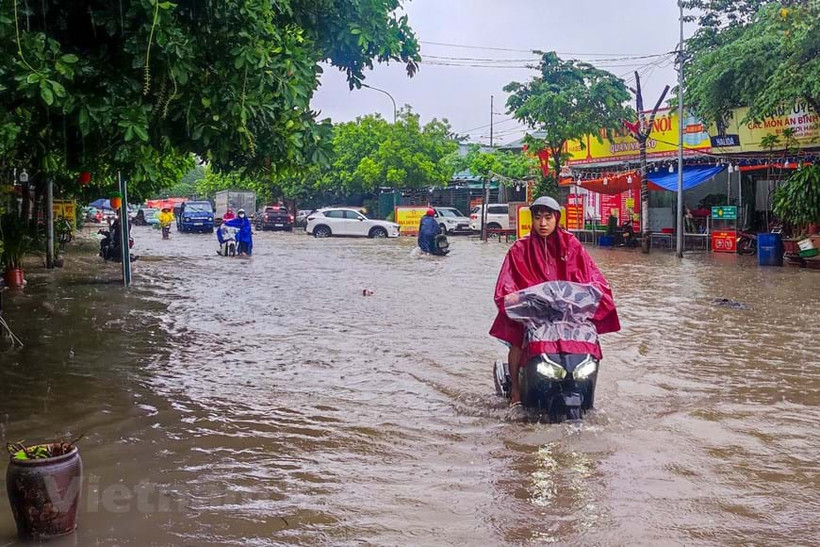 Ảnh minh họa. (Nguồn ảnh: PV/Vietnam+)