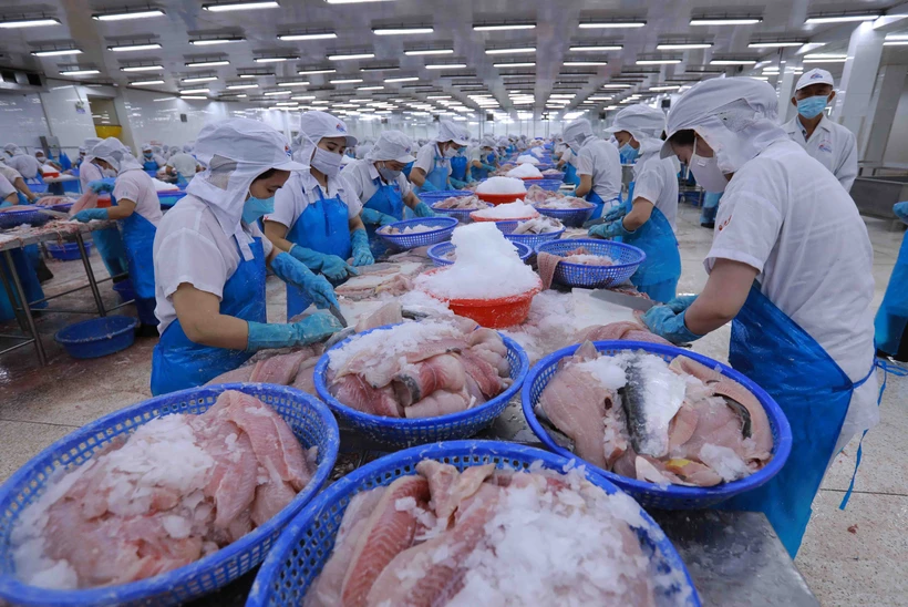 Xuất khẩu thủy sản Việt Nam gặp thách thức lớn