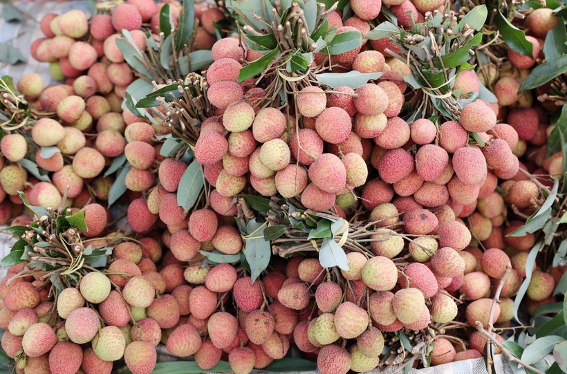 (Nguồn: TTXVN)