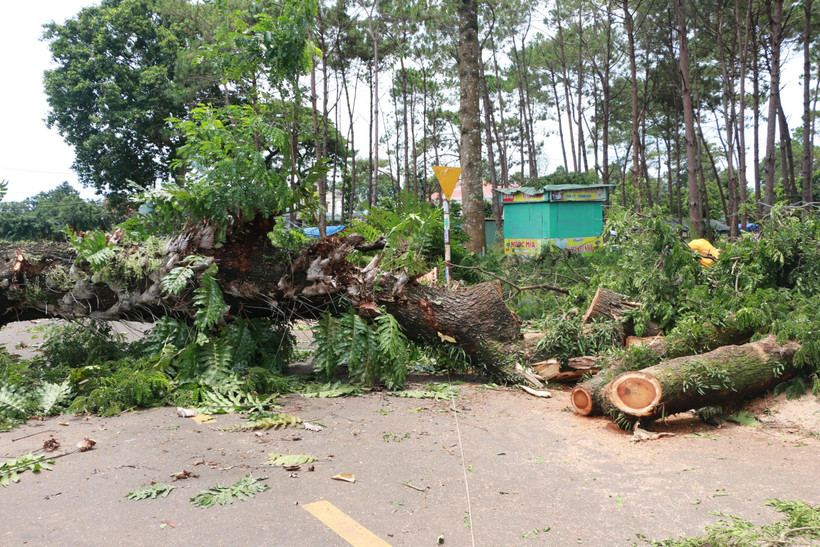 Hiện trường sau một vụ lốc xoáy. Ảnh minh họa. (Nguồn: K Gửi H/TTXVN)