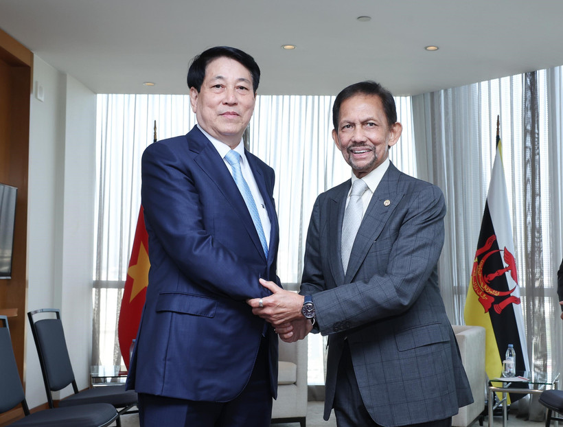 Chủ tịch nước Lương Cường gặp Quốc vương Brunei Hassanal Bolkiah. (Ảnh: Lâm Khánh/TTXVN)