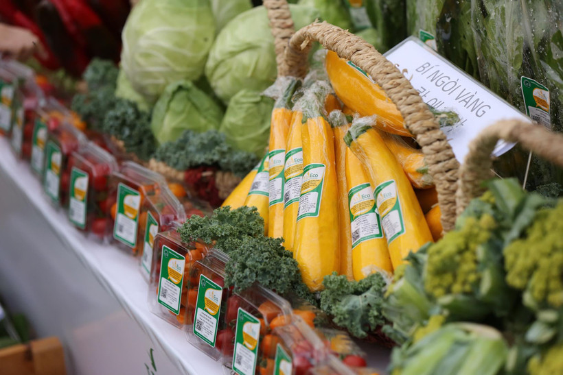 Ảnh minh họa. (Nguồn: Minh Sơn/Vietnam+)