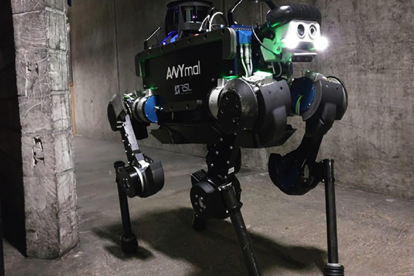 Robot tham dự cuộc thi. (Nguồn: digitaltrends.com)