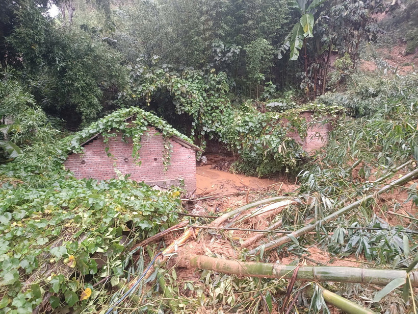 (Ảnh minh họa: TTXVN phát)