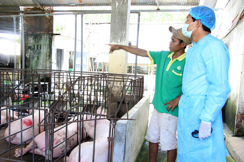 Phó Chủ tịch UBND kiểm tra tại ổ dịch xã Đức Chính, huyện Đức Linh. (Ảnh: Hồng Hiếu/TTXVN)