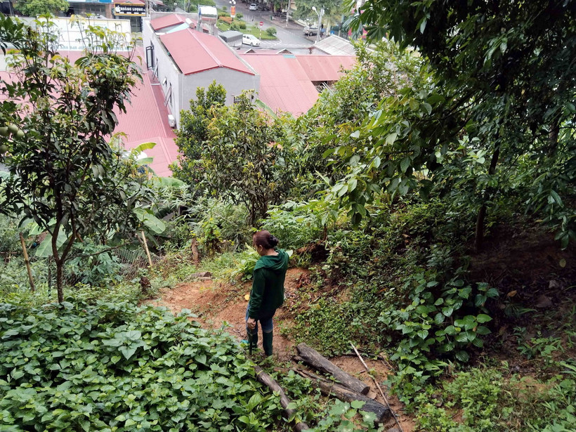 Khu vực sạt lở thuộc tổ 4 (phường Đức Xuân) ảnh hưởng đến khoảng 60 hộ dân phía chân taluy và hạ tầng Quốc lộ 3 đi qua khu vực. (Ảnh: Nguyễn Công Hải/TTXVN)