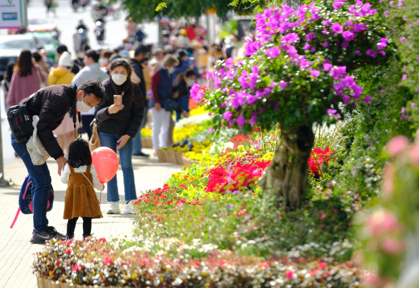 Ảnh minh họa. (Ảnh: Nguyễn Dũng/TTXVN)