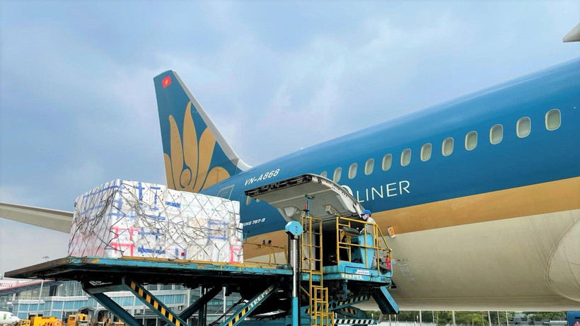 Siêu tàu bay thân rộng của Vietnam Airlines vận chuyển vải thiều từ Hà Nội vào Thành phố Hồ Chí Minh. (Ảnh: CTV/Vietnam+)