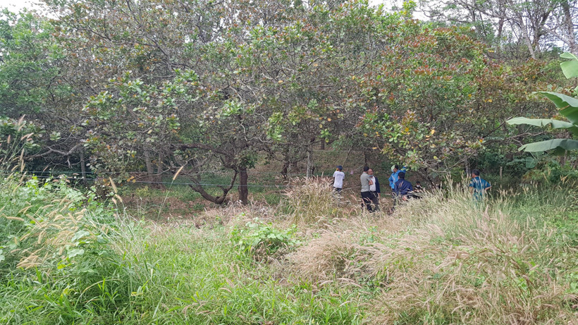 Hiện trường vụ án. (Ảnh: Đậu Tất Thành/TTXVN)