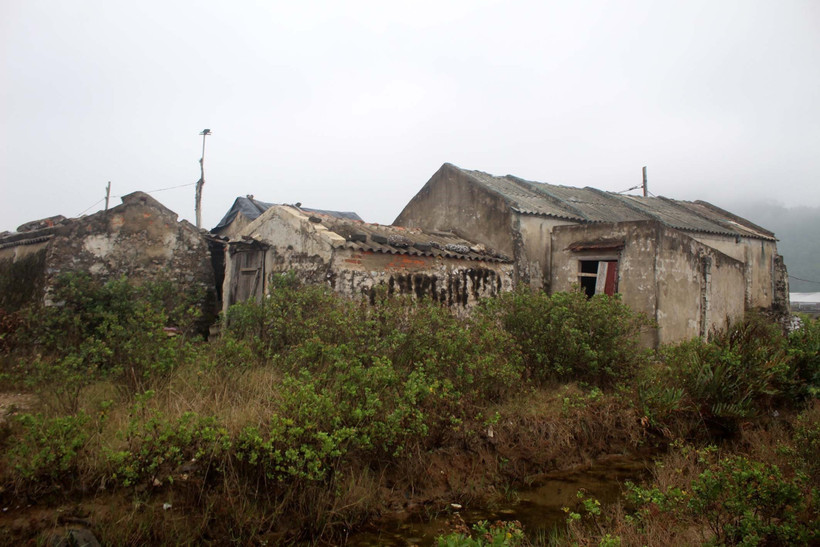 Ở cánh đồng muối thôn Tam Hòa, xã Hòa Lộc, huyện Hậu Lộc, nhiều nhà chứa muối bỏ hoang, ruộng muối bị xuống cấp, cỏ mọc um tùm. (Ảnh: Khiếu Tư/TTXVN)