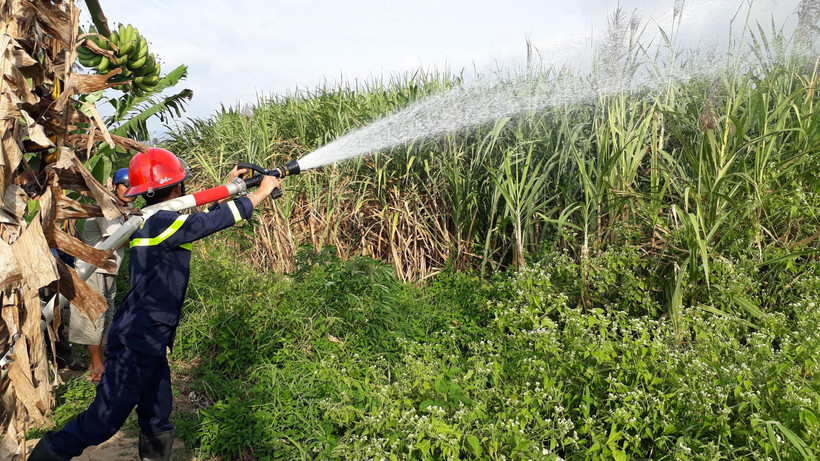 Hiện trường đám cháy cánh đồng mía chiều 2/12. (Ảnh: Quang Thái/TTXVN)