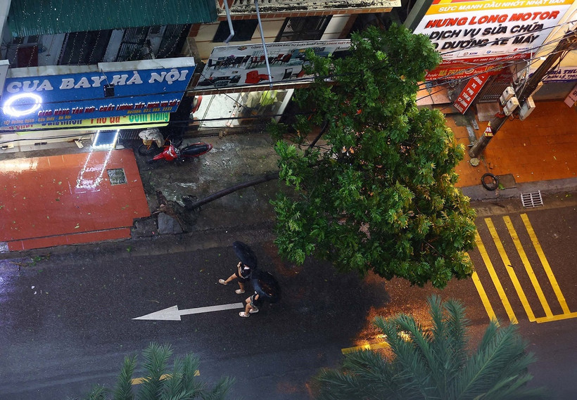 Một cây xanh trên phố Hoàng Ngân (quận Cầu Giấy) bị gió giật, đổ ngả nghiêng. (Ảnh: Huy Hùng/TTXVN)