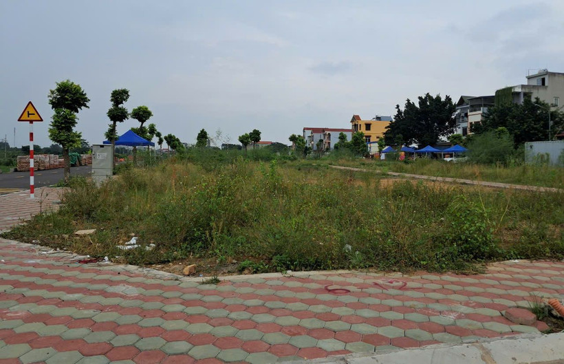 Khu vực đất vừa đấu giá tại xã Thanh Cao, huyện Thanh Oai, thành phố Hà Nội. (Ảnh: Hùng Võ/Vietnam+)