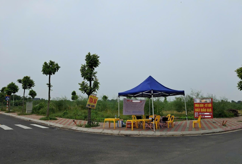 Sau khi trúng đấu giá, không ít nhà đầu tư và môi giới bất động sản đã rao bán trên các lô đất ở xã Thanh Cao (huyện Thanh Oai) với mức chênh lệch từ 200 triệu đồng/lô đến gần 1 tỷ đồng/lô. (Ảnh: Hùng Võ/Vietnam+)