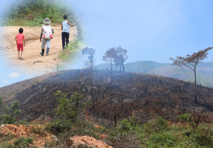 Theo thống kê, cả nước còn trên 300.000 hộ thiếu đất sản xuất. (Nguồn ảnh: Hùng Võ/Vietnam+)