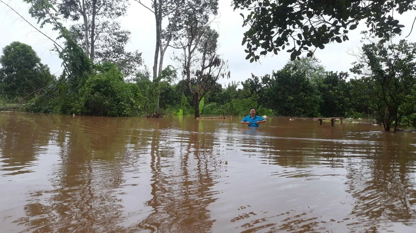 Nhiều khu vực tại xã Nam Cát Tiên (huyện Tân Phú) ngập sâu trong nước. (Ảnh: Sỹ Tuyên/TTXVN)