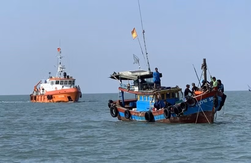 (Ảnh minh họa: TTXVN phát)
