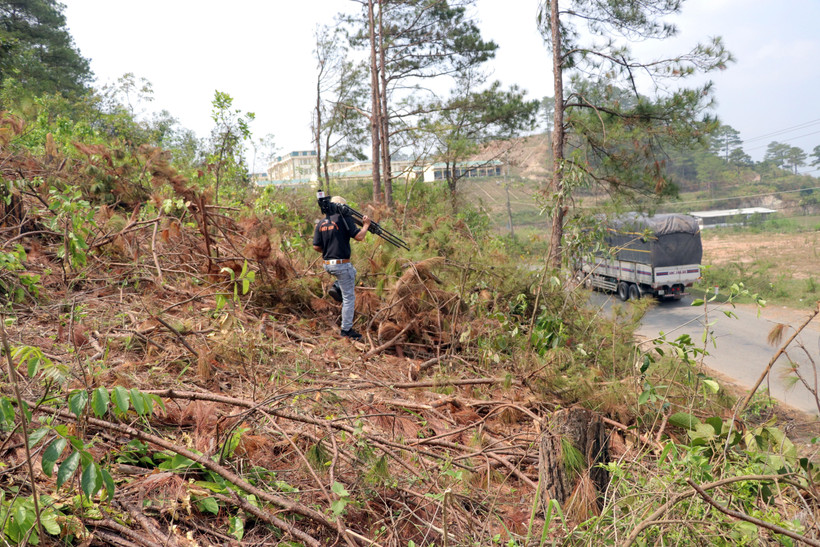 Cánh rừng bị lâm tặc cưa hạ chỉ cách Trung đoàn Cảnh sát cơ động (khối nhà phía sau) khoảng 200m. (Ảnh: Quốc Hùng, Đặng Tuấn/TTXVN)