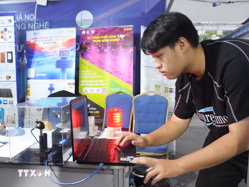 (Ảnh minh họa: TTXVN)