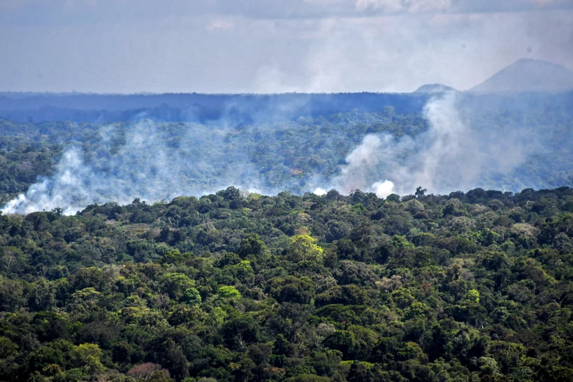 Khói bốc lên từ đám cháy rừng Amazon ở Oiapoque, bang Amapa, Brazil ngày 31/10/2020. (Ảnh: AFP/TTXVN)