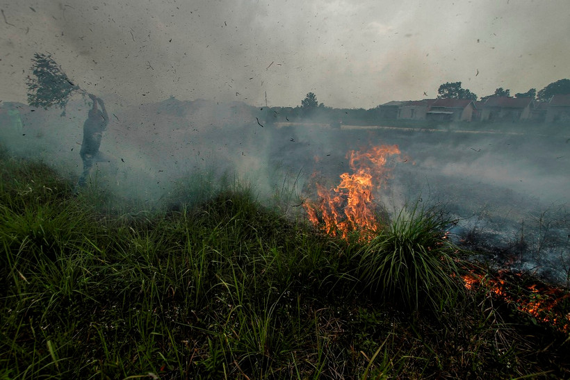 Hiện trường vụ cháy rừng tại Kampar, Riau, Indonesia, ngày 11/10/2019. (Ảnh: THX/ TTXVN)