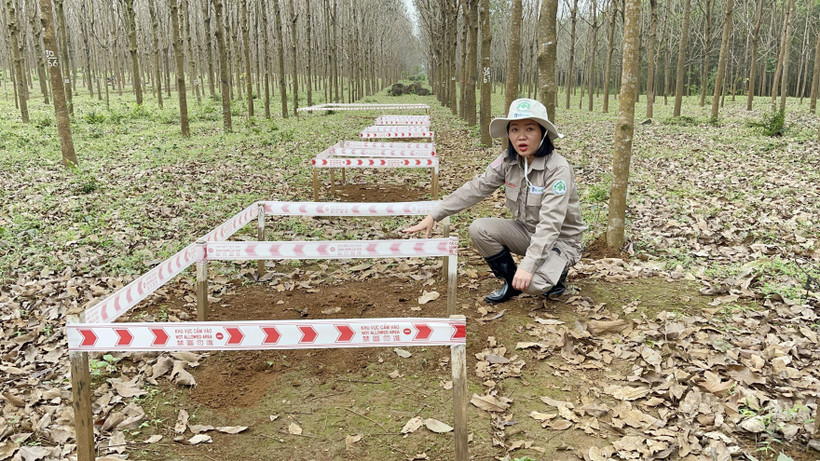 Chị Nguyễn Thị Diệu Linh tại hiện trường rà phá bom chùm và vật liệu nổ tại thôn Hải An, xã Hải Thái, huyện Gio Linh. (Ảnh: Thanh Thủy/TTXVN)