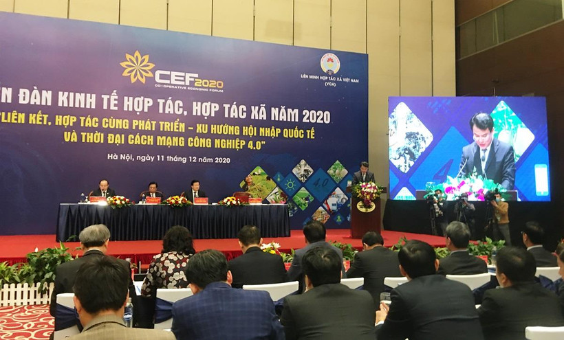 Diễn đàn Kinh tế hợp tác, hợp tác xã với chủ đề “Liên kết, hợp tác cùng phát triển-Xu hướng hội nhập quốc tế và thời đại cách mạng công nghiệp 4.0,” ngày 12/10. (Ảnh: Vietnam+)