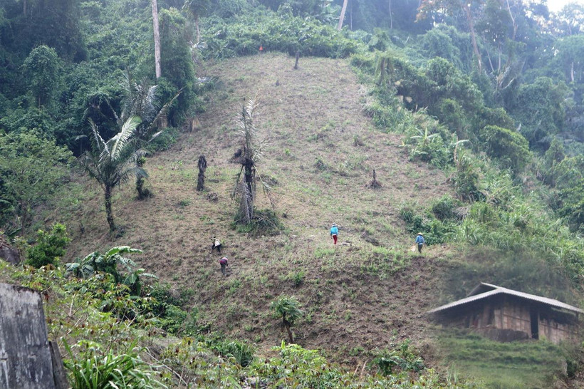 Ảnh chỉ có tính chất minh họa. (Nguồn ảnh: Hùng Võ/Vietnam+)