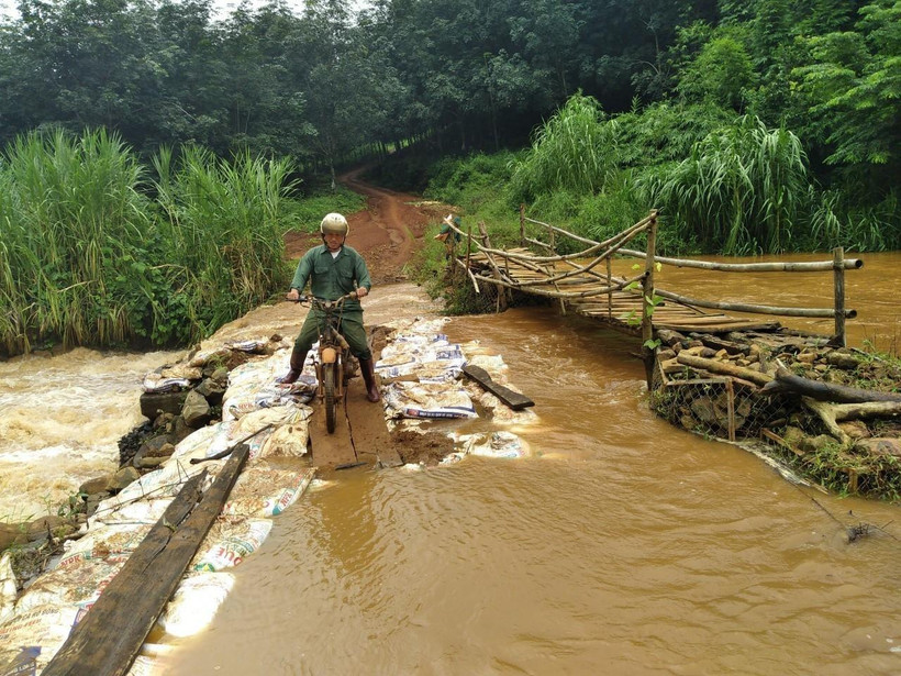(Ảnh minh họa: Hưng Thịnh/TTXVN)