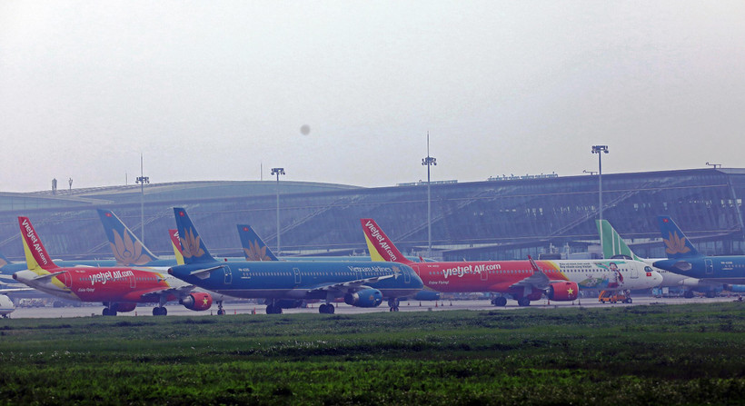 Máy bay của các hãng hàng không tại một sân bay. (Ảnh: CTV/Vietnam+)