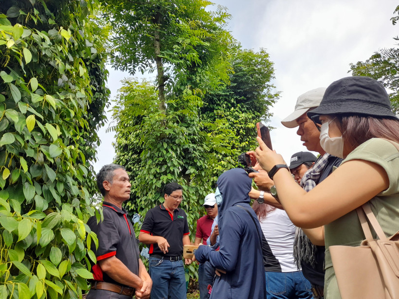 Phóng viên báo chí phỏng vấn người dân trồng càphê theo mô hình ít phát thải khí nhà kính tại xã Ea Ktuh, huyện Cư Kuin, tỉnh Đắk Lắk. (Ảnh: Hùng Võ/Vietnam+)