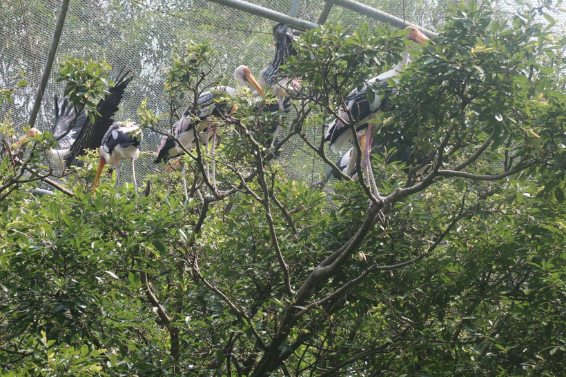 Ảnh minh họa. (Nguồn: TTXVN)