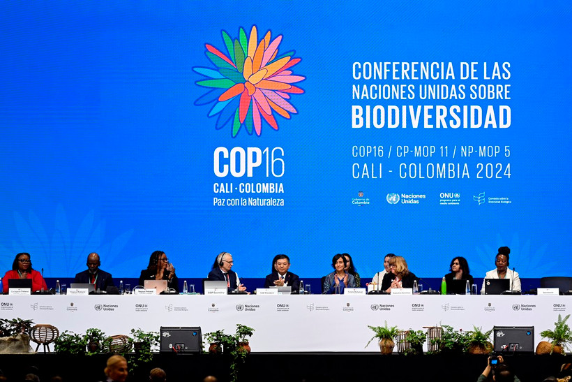 Các đại biểu dự Hội nghị lần thứ 16 Các bên tham gia Công ước Liên hợp quốc (LHQ) về Đa dạng sinh học (COP16) ở Cali, Colombia. (Ảnh: THX/TTXVN)