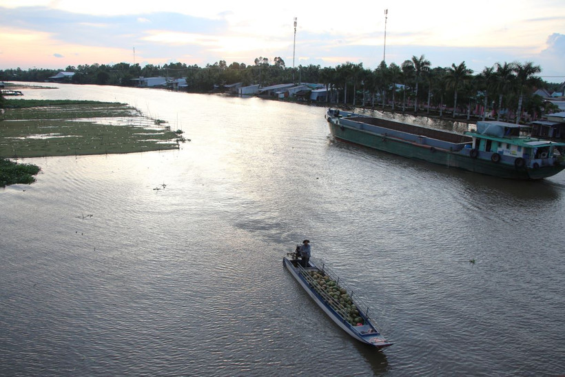 Mực nước cao trên sông Hậu kết hợp với triều cường. (Ảnh: Nguyễn Hằng/TTXVN)