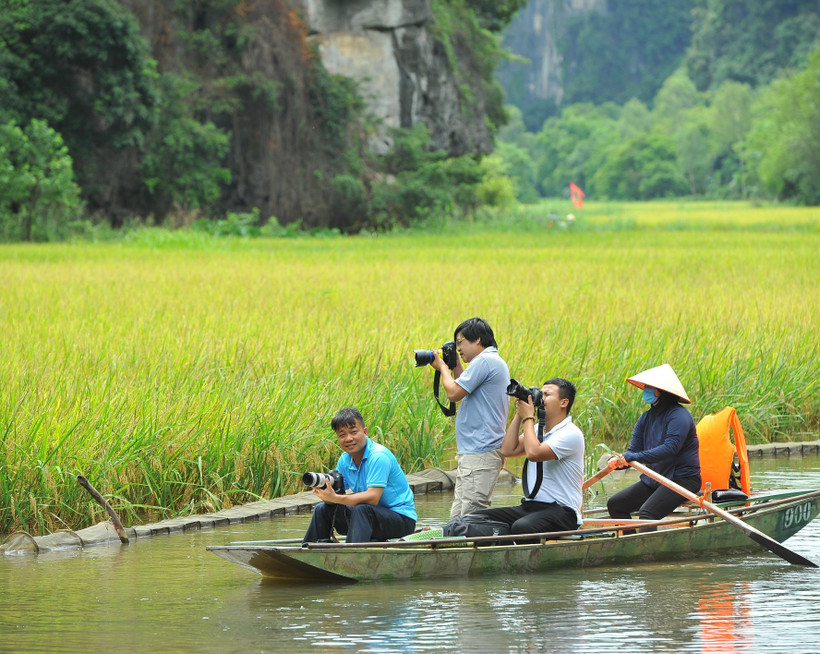 Tam Cốc-Bích Động mùa lúa chín, một trong những điểm đến du lịch đẹp nhất của Ninh Bình. (Ảnh: Minh Đức/TTXVN)