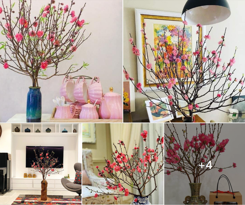 Năm nay, người dân có xu hướng chuyển sang chọn mua những cành đào nhỏ xinh, cắm trên bàn trà, bàn ăn hay đặt trên cửa sổ... (Ảnh minh họa)