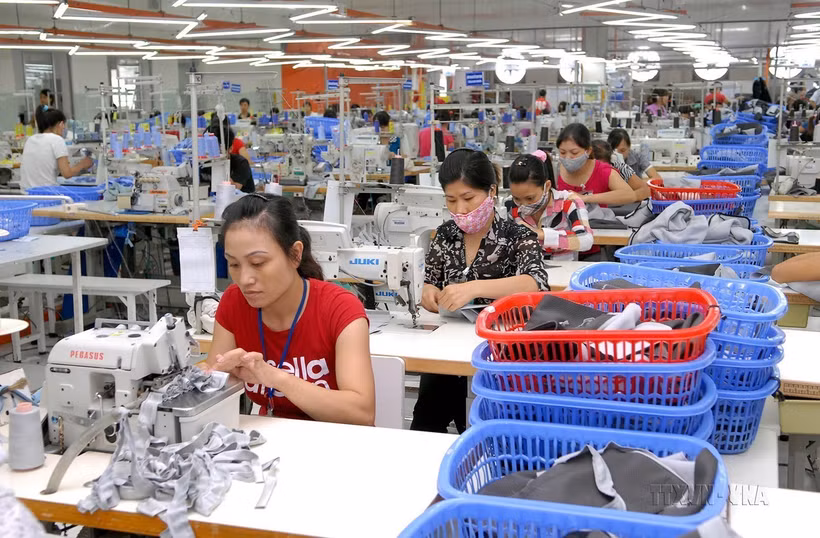 Dây chuyền sản xuất hàng may mặc xuất khẩu của Công TNHH Thời trang STAR, vốn đầu tư của Singapore, tại Khu công nghiệp Phú Nghĩa (huyện Chương Mỹ, Hà Nội). (Ảnh: Danh Lam/TTXVN)