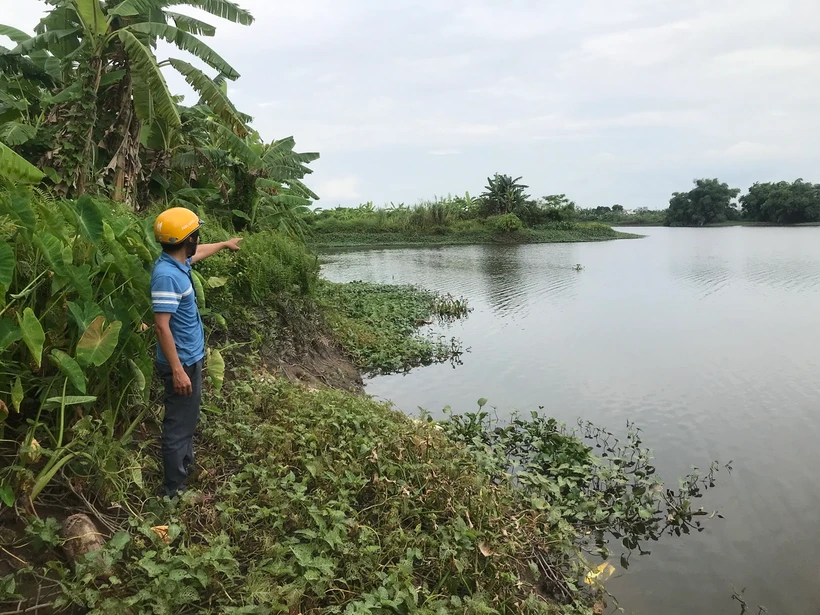 Điểm sạt lở tại thôn Cự Lộc, xã Minh Đức (Tứ Kỳ, Hải Dương) đã vào cách chân đê 3 mét nguy cơ mất an toàn đê. (Ảnh: TTXVN phát)