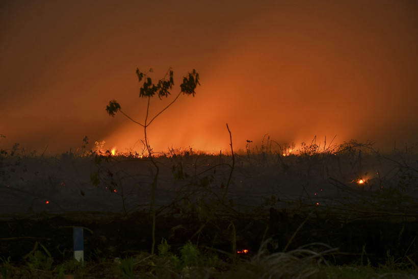 Lửa cháy ngùn ngụt tại một cánh rừng ở Kampar, tỉnh Riau, Indonesia ngày 9/9/2019. (Ảnh: AFP/TTXVN)