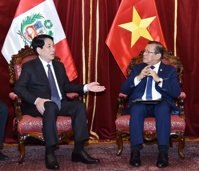Chủ tịch nước Lương Cường hội kiến Chủ tịch Quốc hội Peru Eduardo Salhuana. (Ảnh: Lâm Khánh/TTXVN)