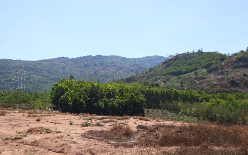 Chuyên gia ‘mổ xẻ’ việc cả nước còn gần 3 triệu ha rừng 'chưa có chủ'