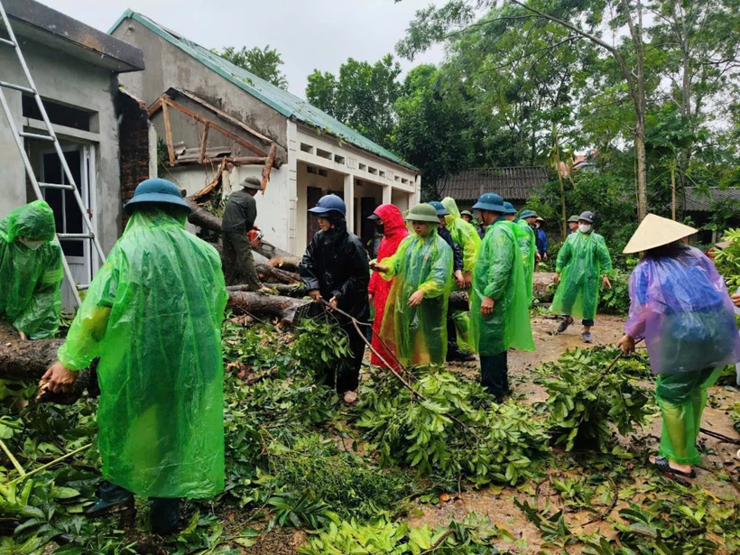 Lực lượng thanh niên tình nguyện Thủ đô nhiệt tình các hoạt động khắc phục hậu quả sau bão. (Ảnh: PV/Vietnam+)