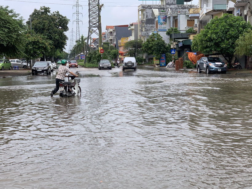 (Ảnh minh họa: Hiền Anh/TTXVN)